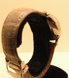 Photo d'Omega  Bumper
